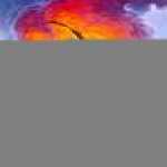 thumb_1292 (Medium).jpg